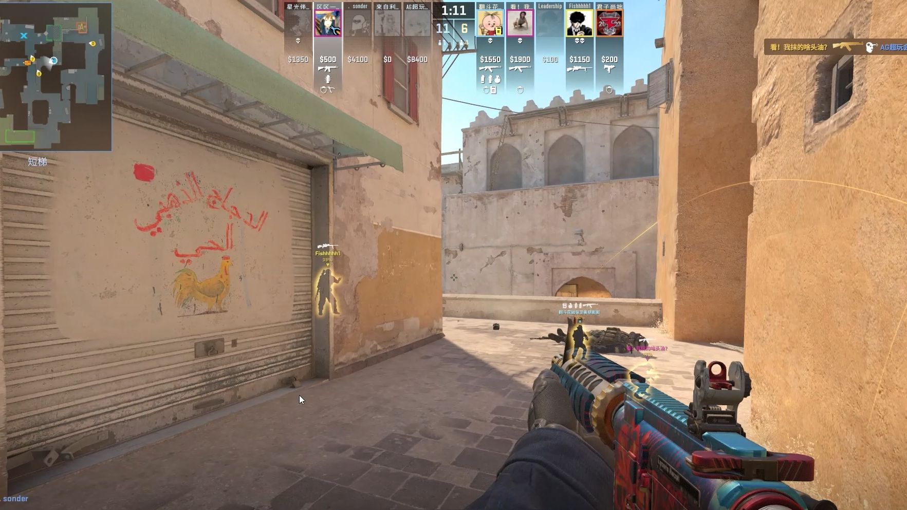 面前后排分 面前后排分